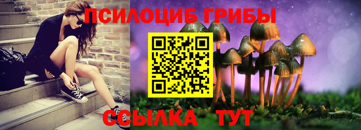 Псилоцибиновые грибы прущие грибы  Вход с VPN  Галлюциногенные грибы Cubensis  Россошь 