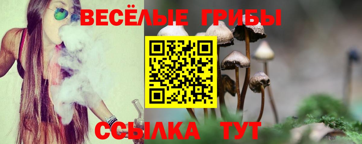 Меф Россошь